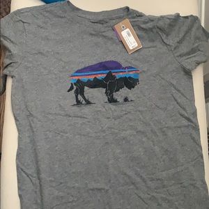 NWT Boys Patagonia Tshirt XL/14
